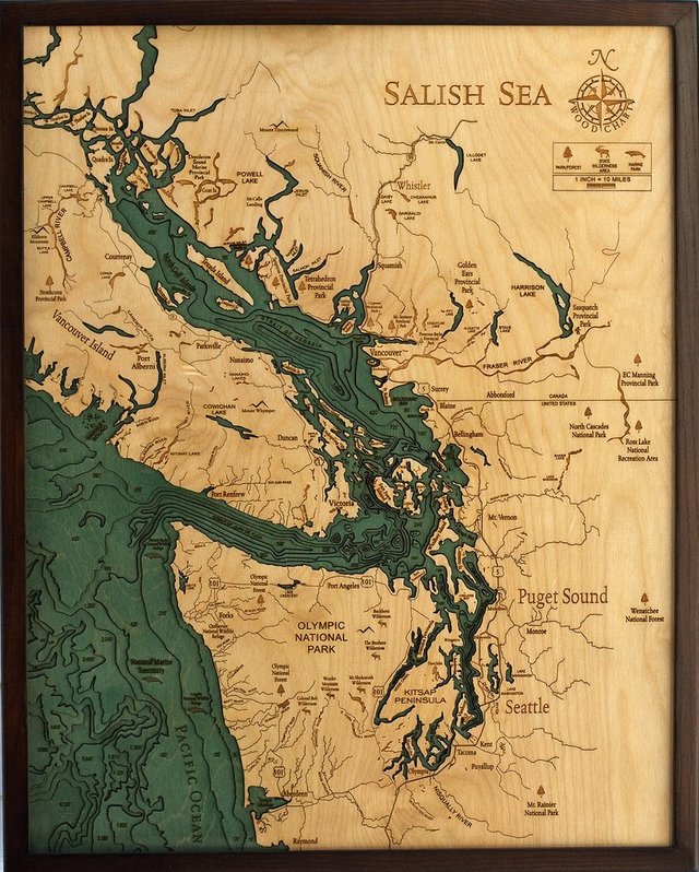 Salish-sea-lg_1024x1024.jpg