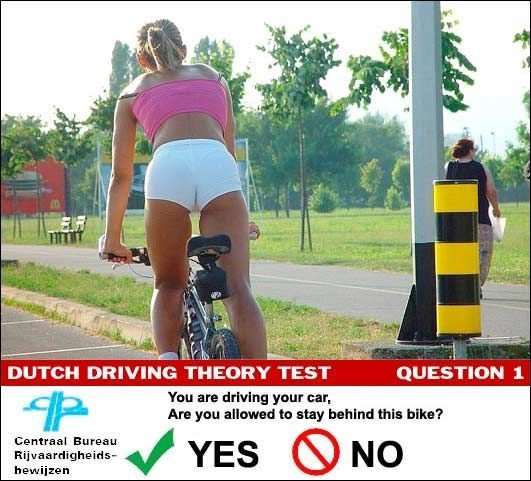 funny dutch test question a q q&a