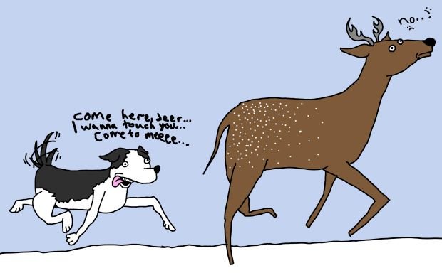 dog-chasing-deer.jpg