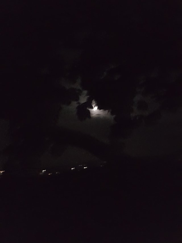 20180423_011525.jpg