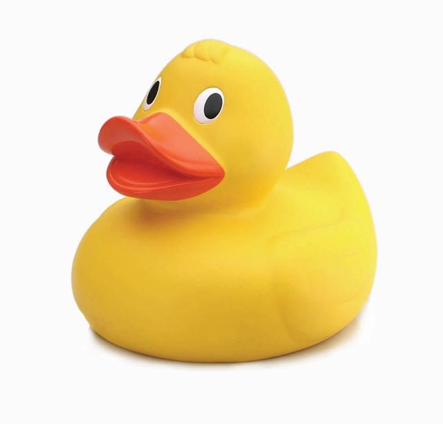 rubber-duck.jpg
