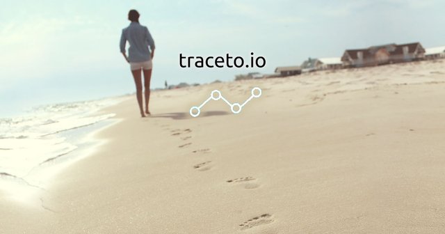 Traceto-ICO-Review-T2T-Token-Analysis.jpg