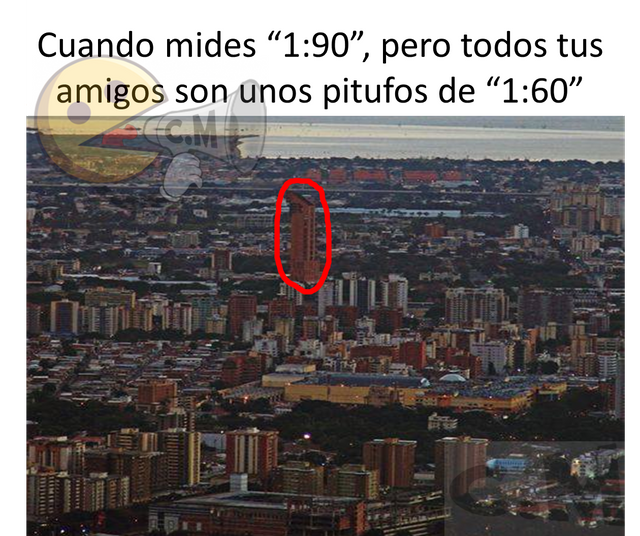 meme de alto.png