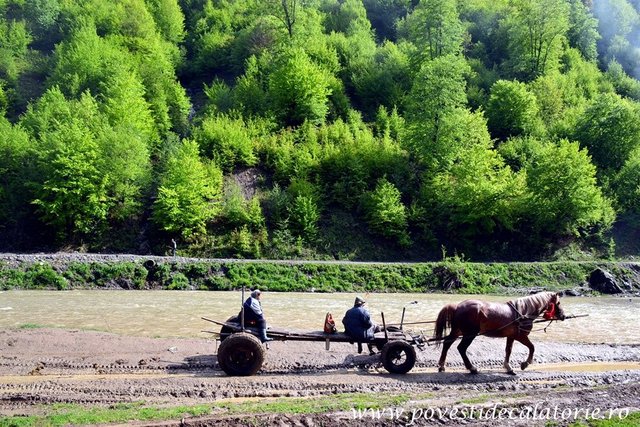 Maramures-Scorilo-756.jpg