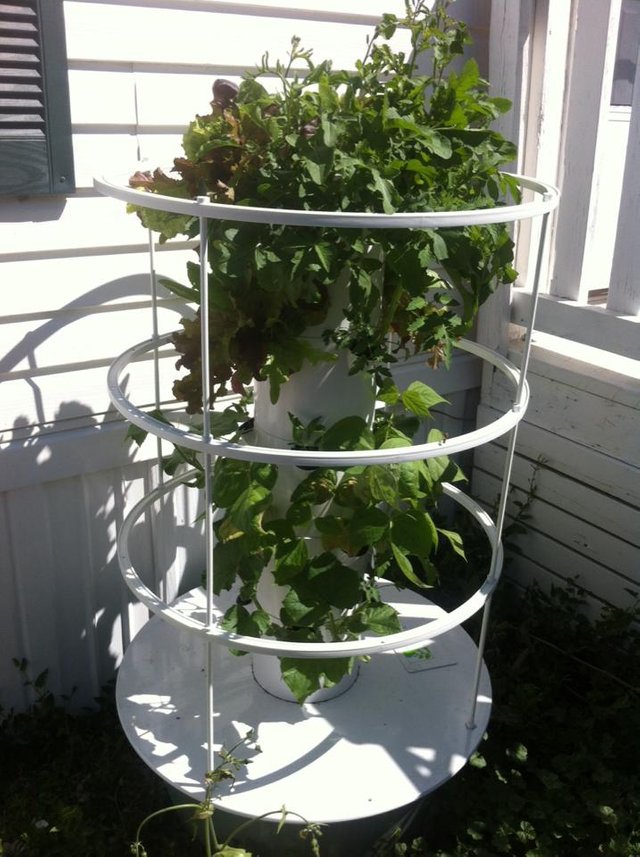 Juice Plus Tower Garden Steemit