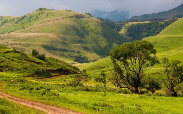 a-small-road-through-zululand.jpg