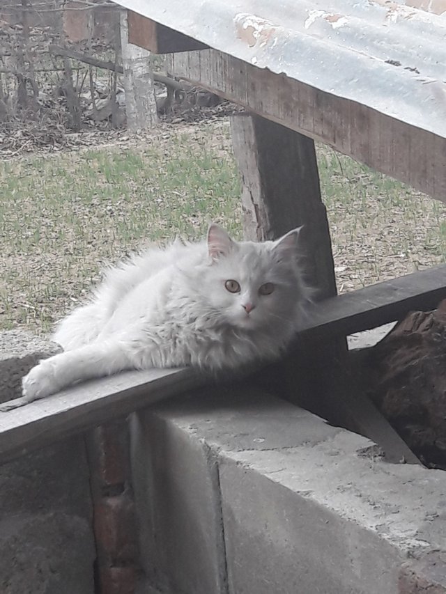 20180308_165454.jpg