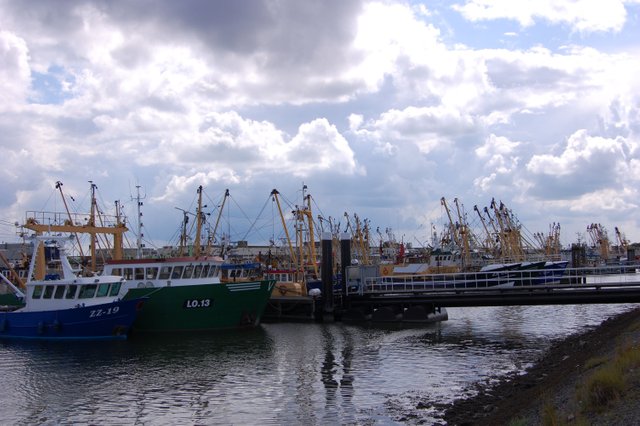 19.07.2009. Lauwersoog 028.jpg