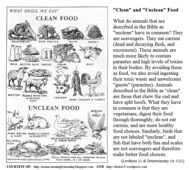 Clean And Unclean Food List Steemit