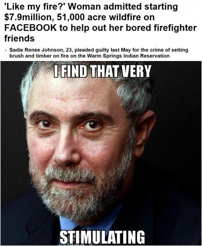 Krugman Fire Meme2.jpg