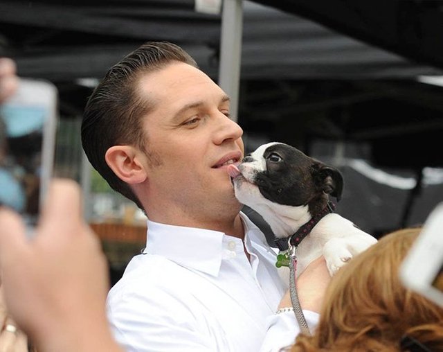 love-for-dogs-tom-hardy-59bf7e0f6e613__700.jpg