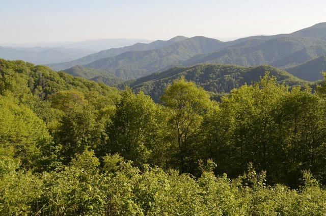 Great Smoky Mountains National Park.6.jpg