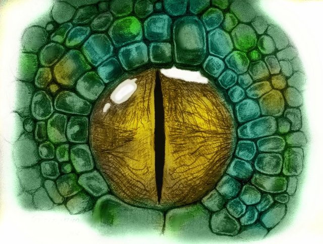 reptileeye2.jpg