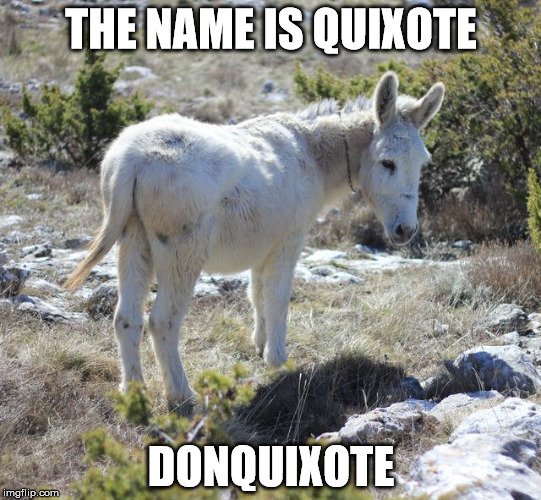 quixote.jpg