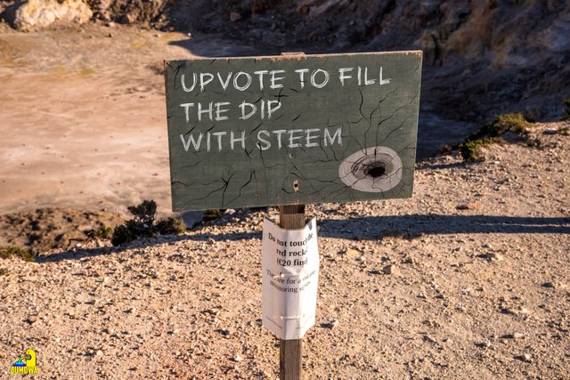 FILL DIP WITH STEEM.jpg