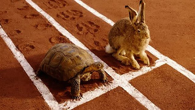 slow-steady-wins-race.jpg