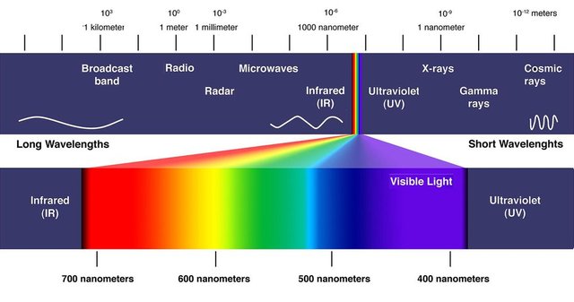 Light Spectrum Perceived.jpg