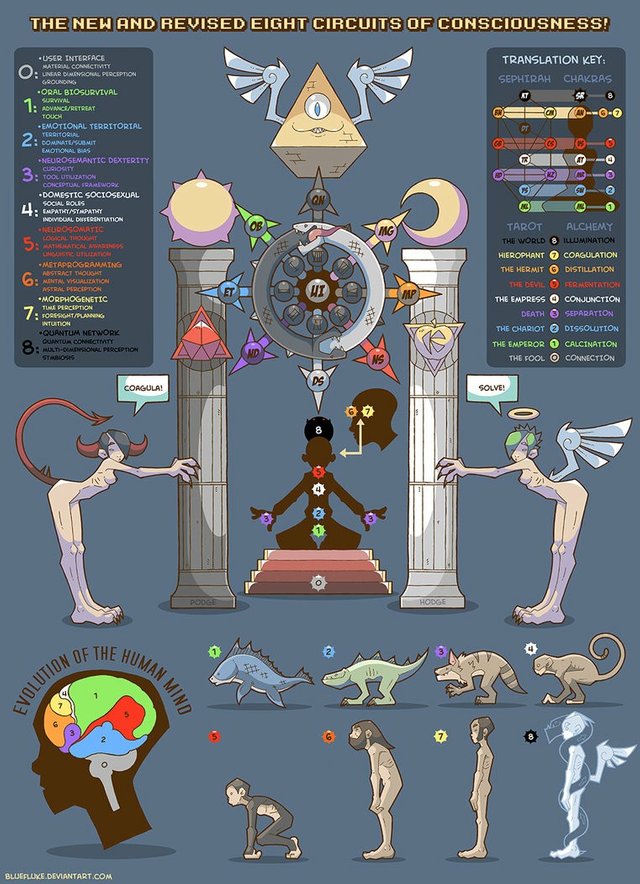 occult anatomy.jpg