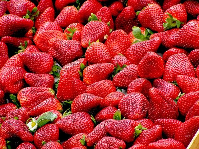 strawberries-99551__480.jpg