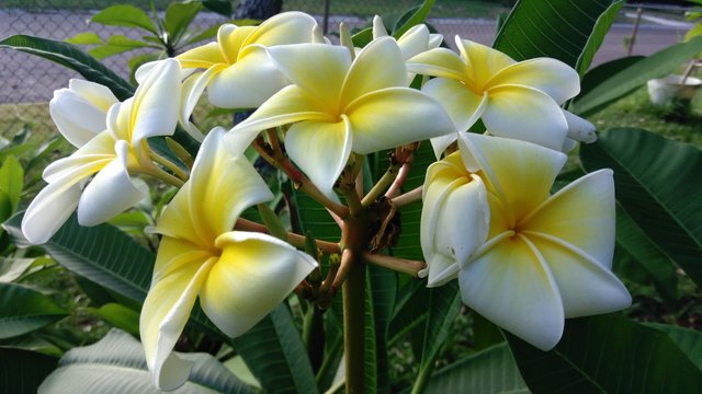 IMG_20170808_183204.jpg