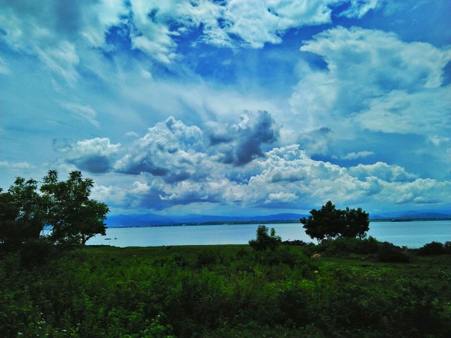 IMG20170708124714-01.jpeg