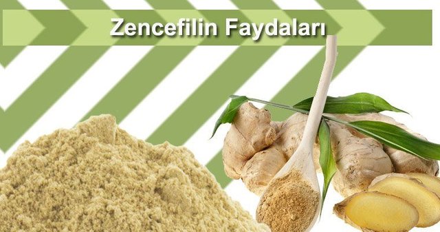 zencefilin-faydalari-760x400_c.jpg