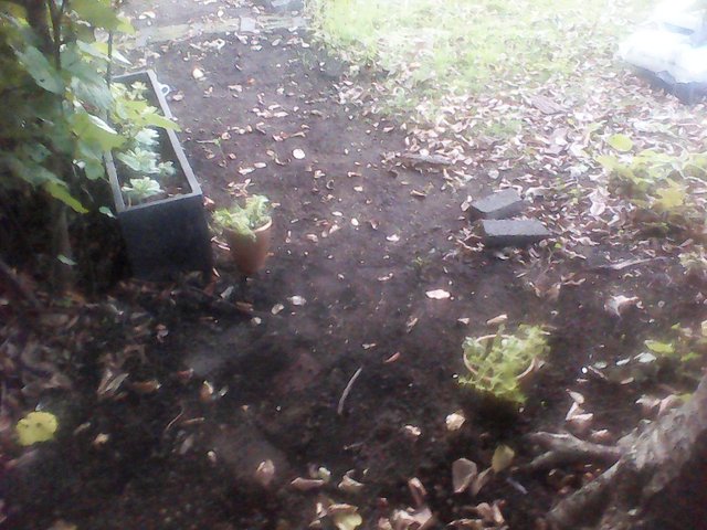 IMG_20180403_172525.jpg