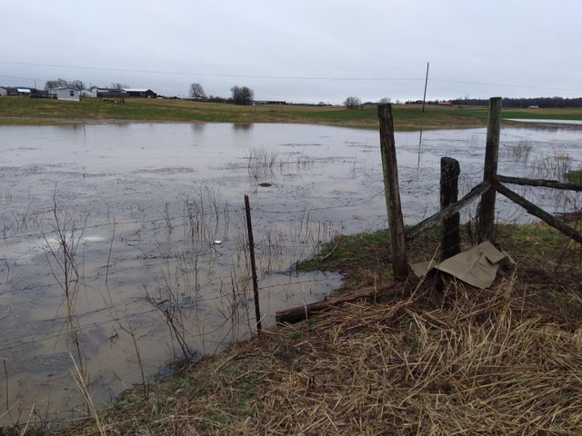 Pasture flood.jpg