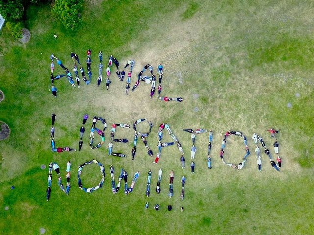 dxe_animal_liberation_now_2017_berkeley_sf.jpg