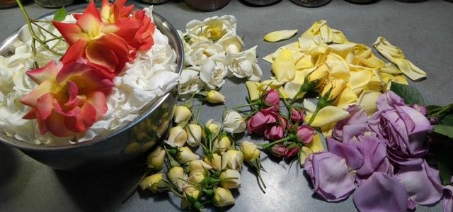 xtsu roses in the kitchen.jpg