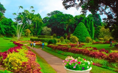 peradeniya-garden.jpg