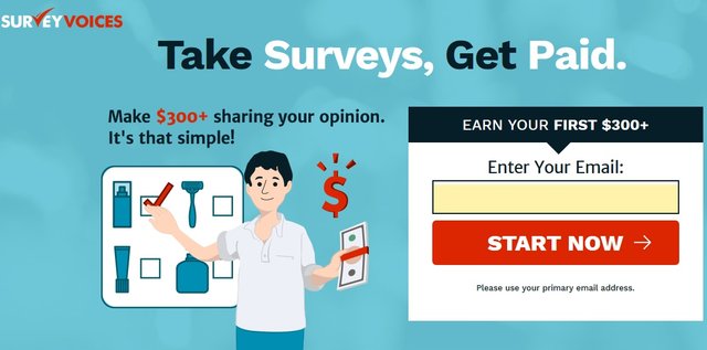 Paid Surveys - 15.jpg