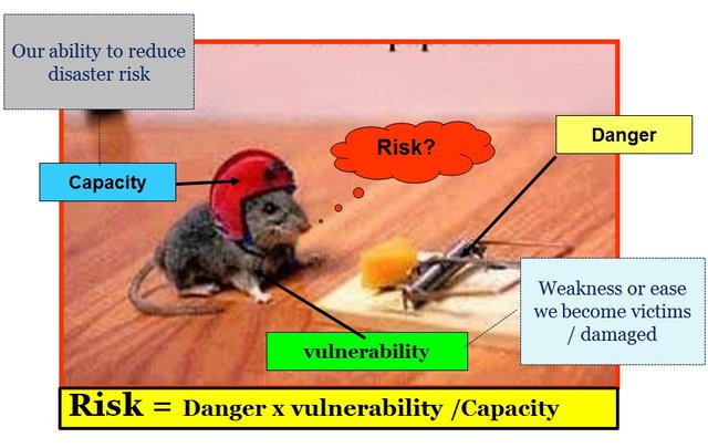 Risk Management.jpg