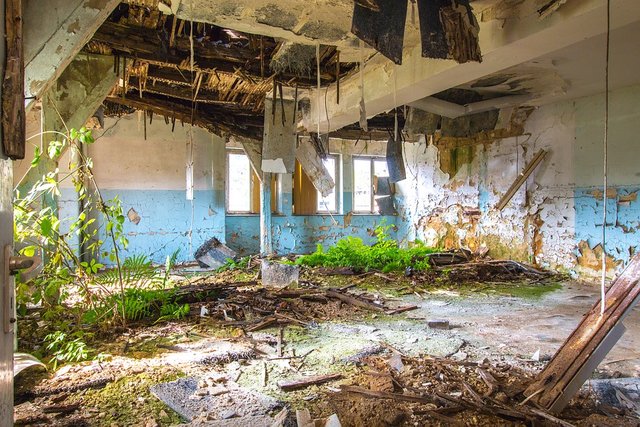 Architecture-Light-Moss-Space-Old-Building-Plant-1649710.jpg