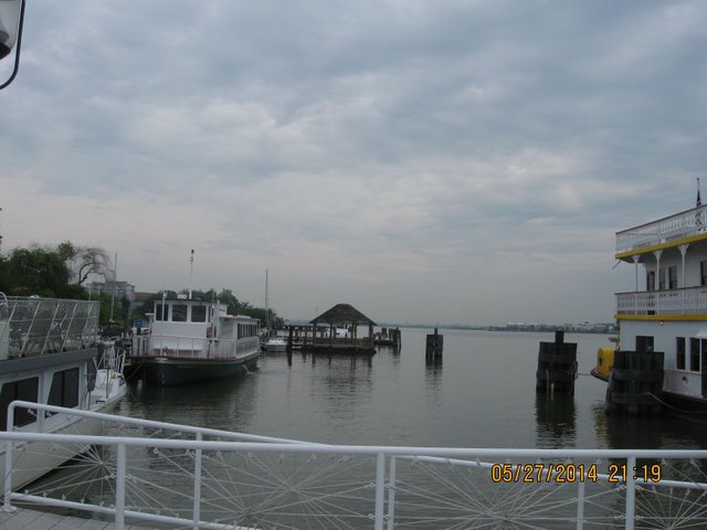 IMG_7005.JPG