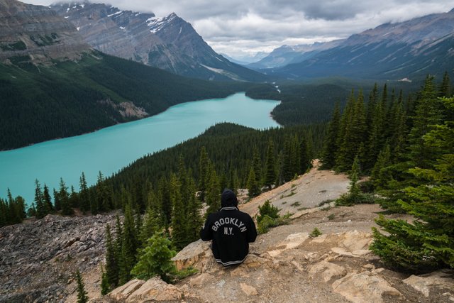 DG-Peyto-Lake.jpg