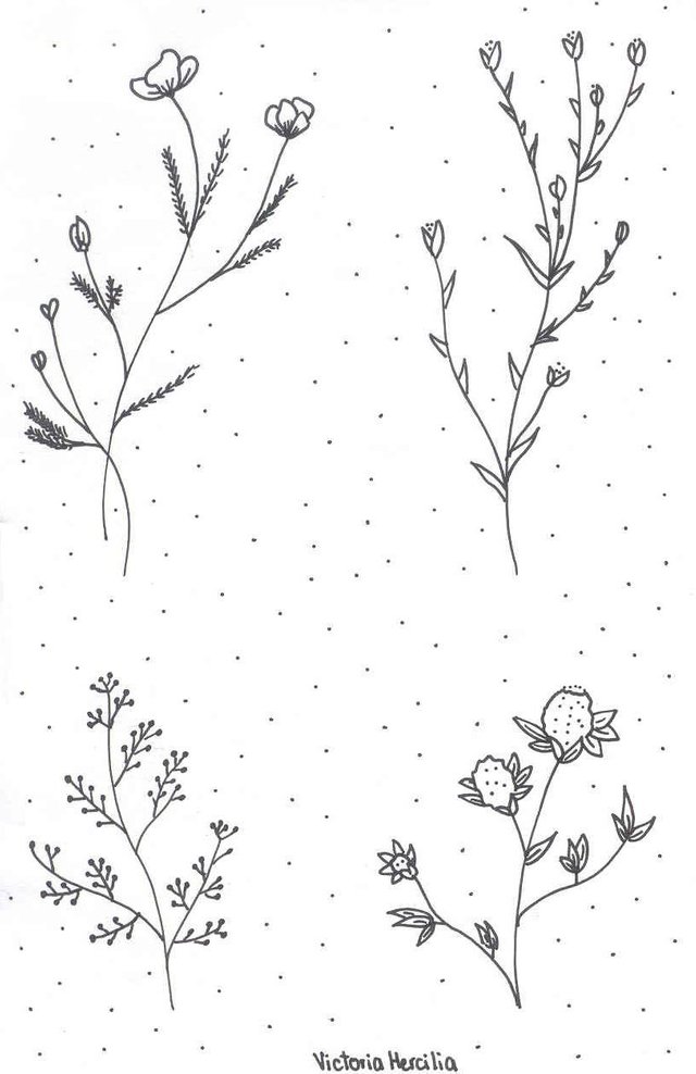  Crecer como Plantas ♡ (Estilógrafos, Tinta, Dibujos y Crecimiento Personal) — Steemit