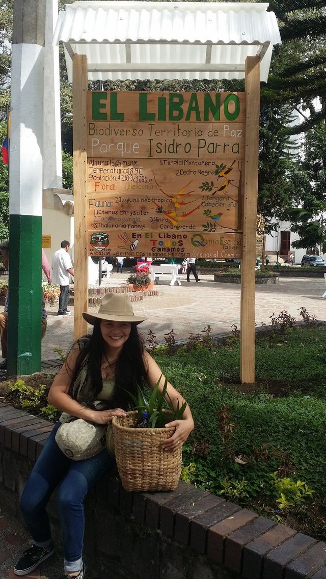 Plantando orquideas de tierra en el nuevo aviso construido.jpg