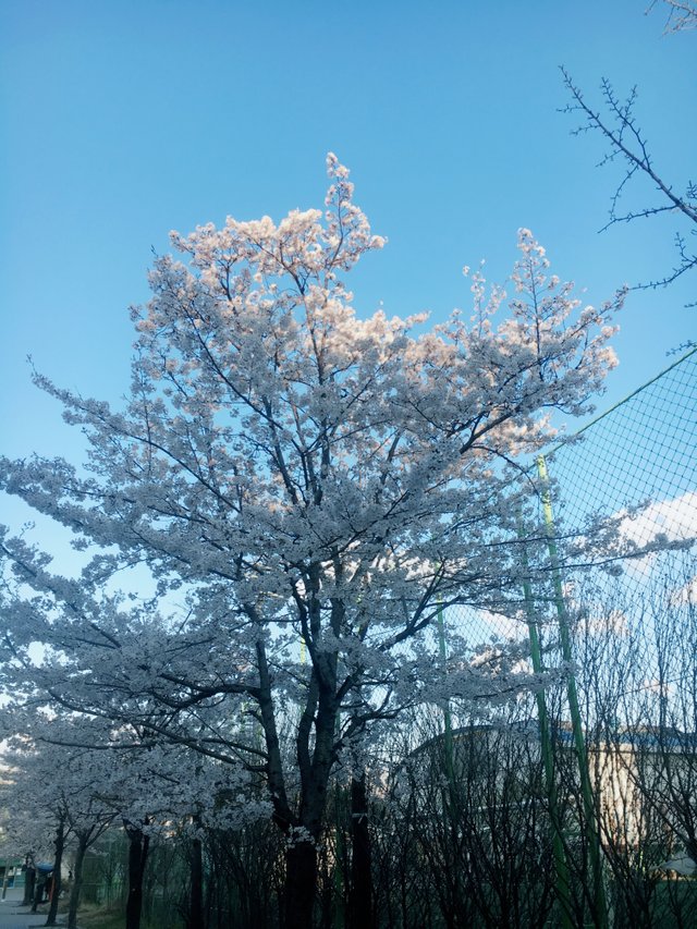 KakaoTalk_20180407_211529010.jpg