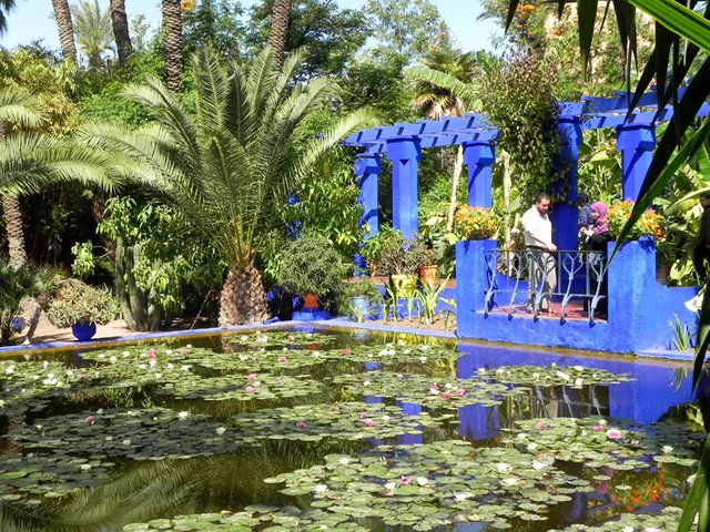 Giardino_Majorelle.jpg