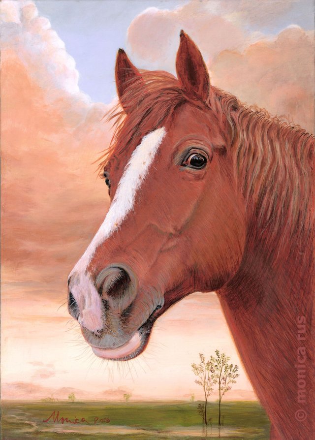 Monica's Horse copyright 2.jpg