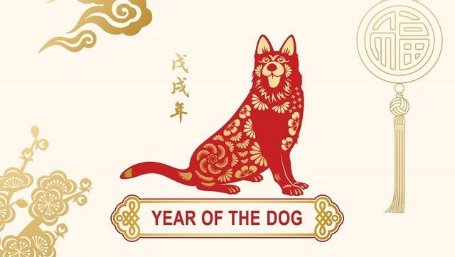 2018 year of the dog