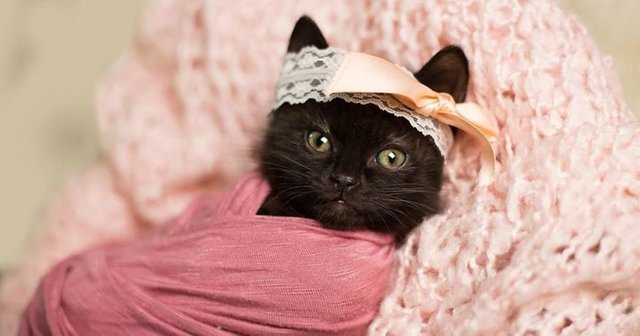 590cc2721700001f005a509d[1].jpg