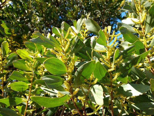 2017-08-24 12.47.35.jpg