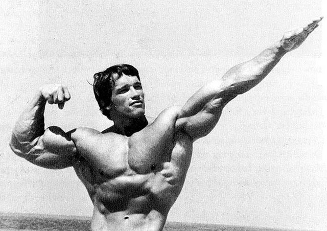 HD wallpaper Arnold Schwarzenegger athlete Actor bodybuilder Producer   Wallpaper Flare