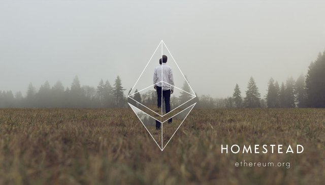 Ethereum-homestead-background-44.jpg