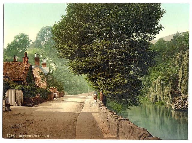 [Bonchurch Pond, II., Isle of Wight, England] 1890-1900.jpg