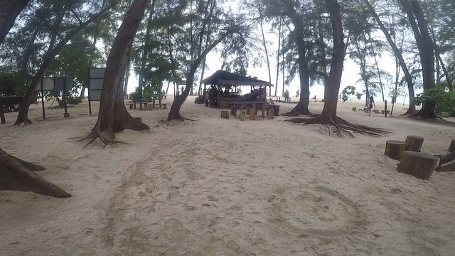 Bamboo Island 2.jpg