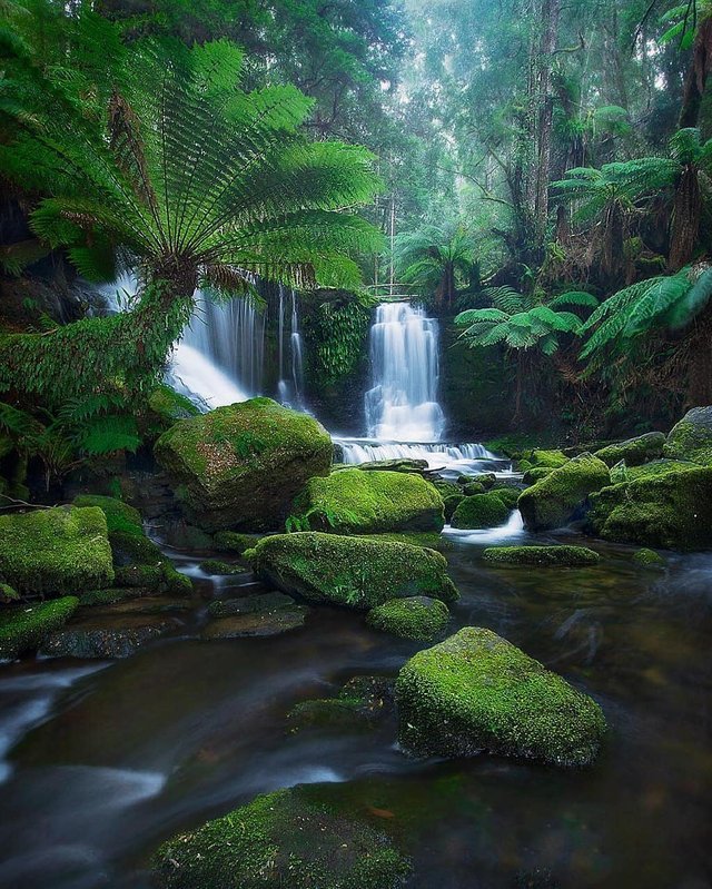 Mount Field Nationa Park, Tasmania.jpg