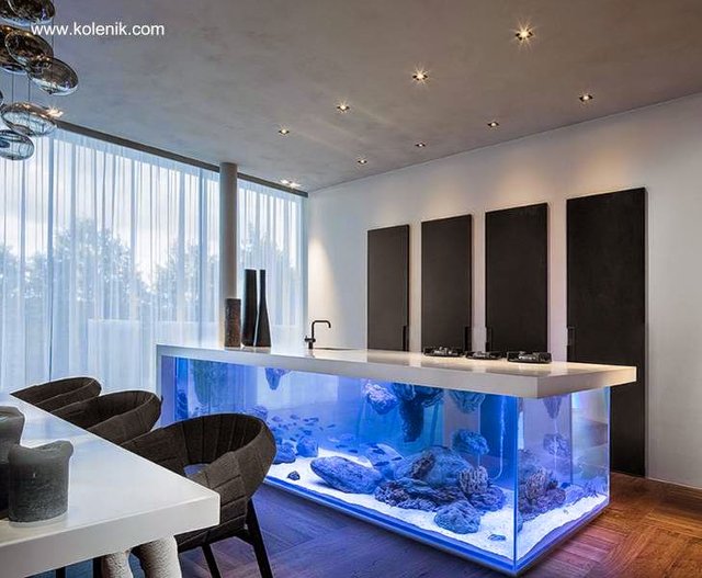 Imagen del renderizado del proyecto de isla de cocina integrada con acuario.jpg
